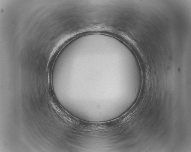 X0000053081270200508081236