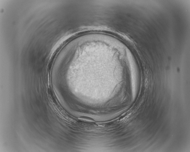 X0000053081271200508081236