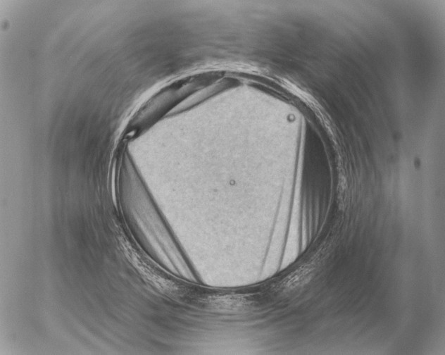 X0000053081272200508081236