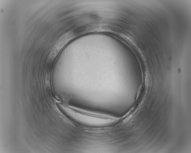 X0000053081273200508081236