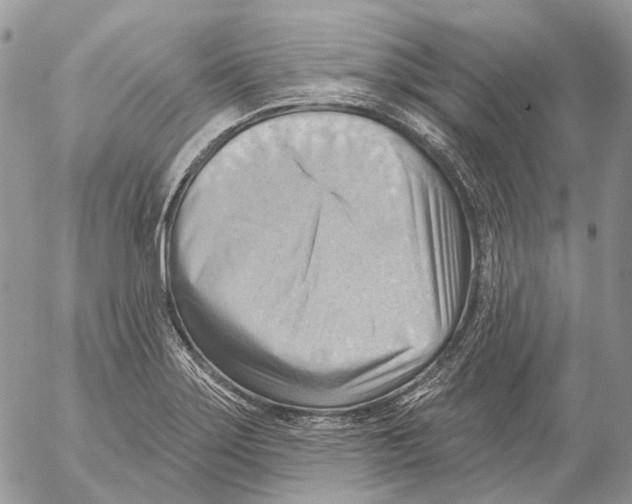 X0000053081275200508081236