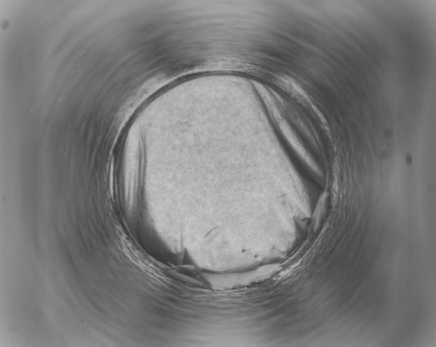 X0000053081276200508081236