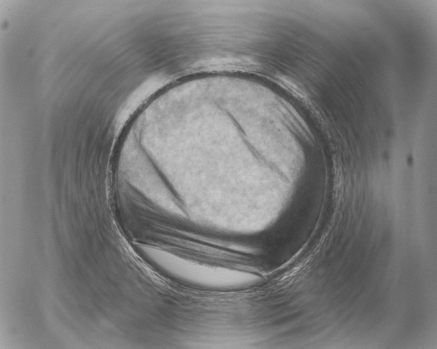 X0000053081277200508081236