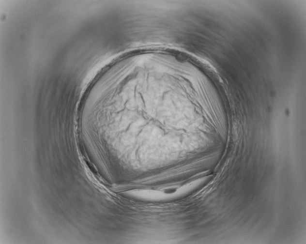 X0000053081279200508081236