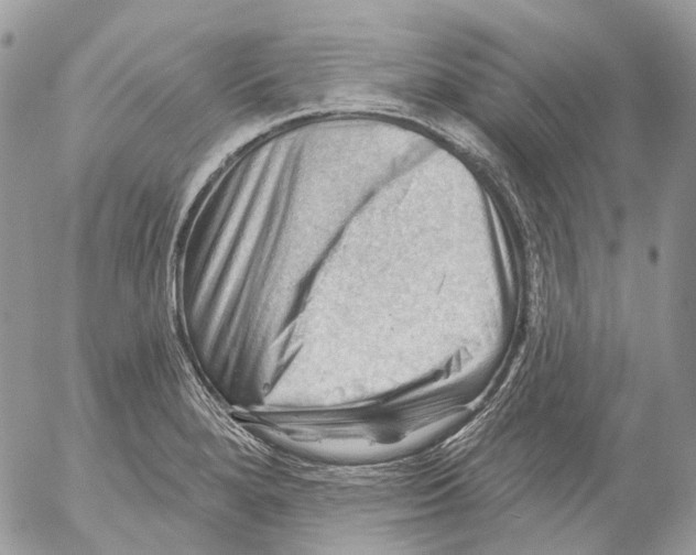 X0000053081280200508081236