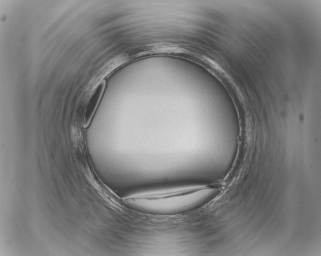 X0000053081281200508081236