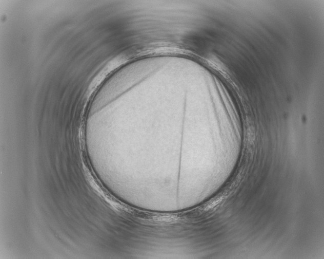 X0000053081282200508081236