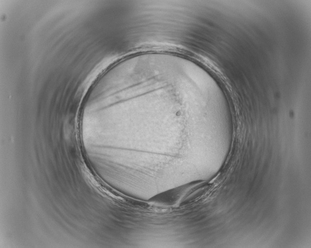 X0000053081283200508081236