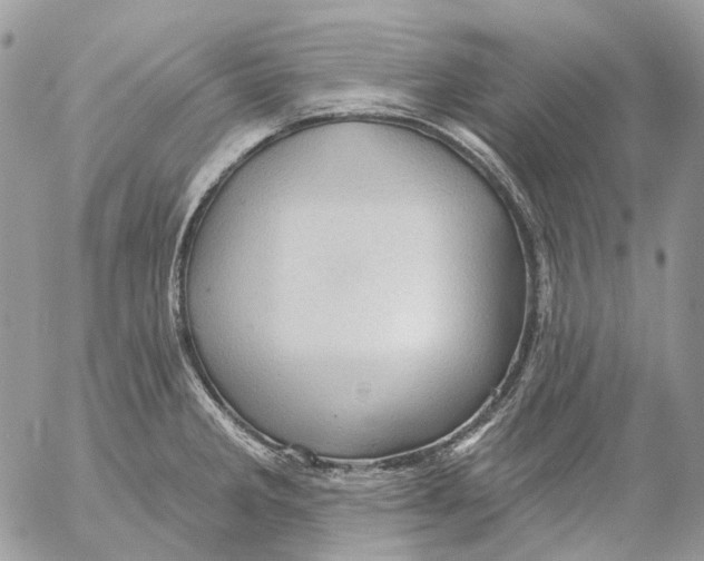 X0000053081285200508081236