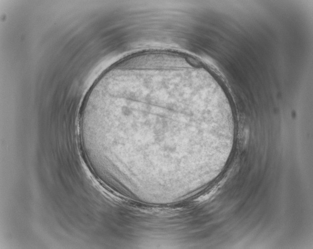 X0000053081287200508081236