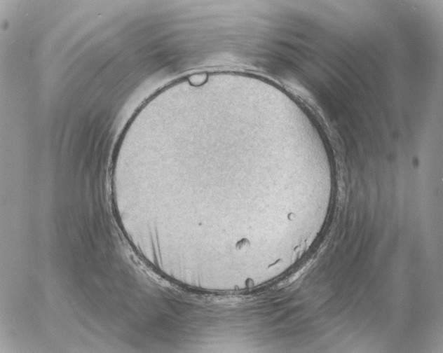 X0000053081288200508081236