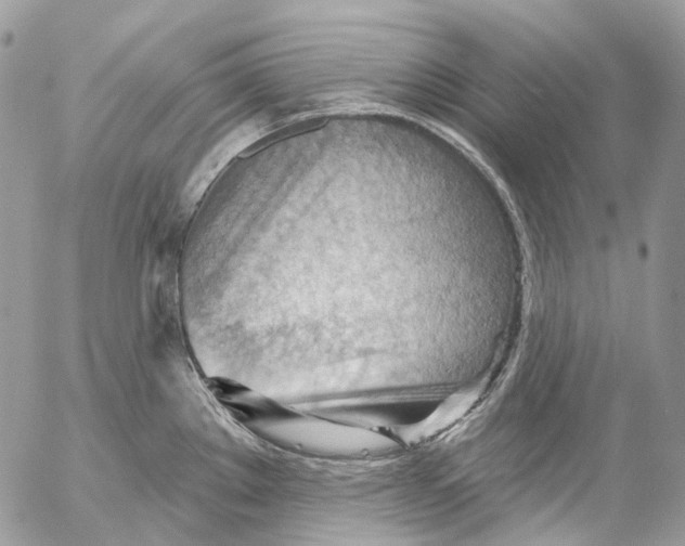 X0000053081289200508081236