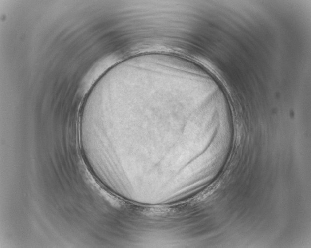 X0000053081290200508081236