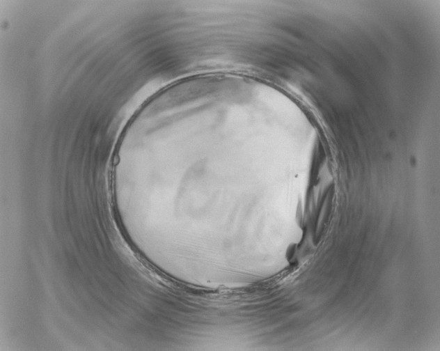 X0000053081291200508081236