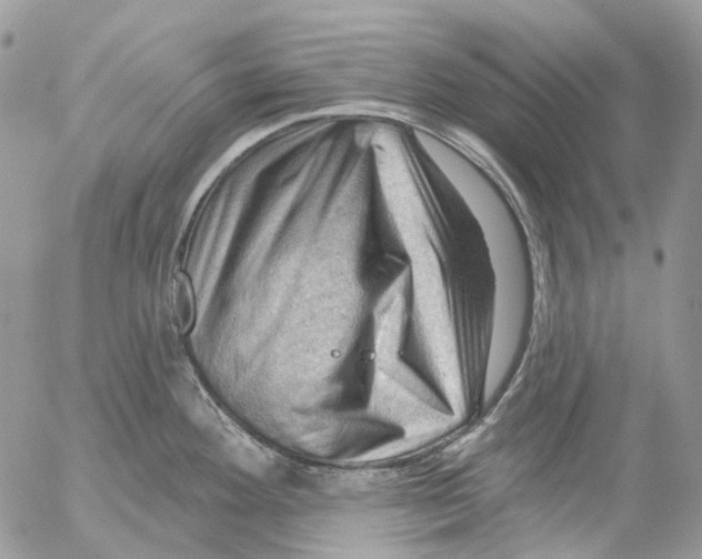 X0000053081292200508081236