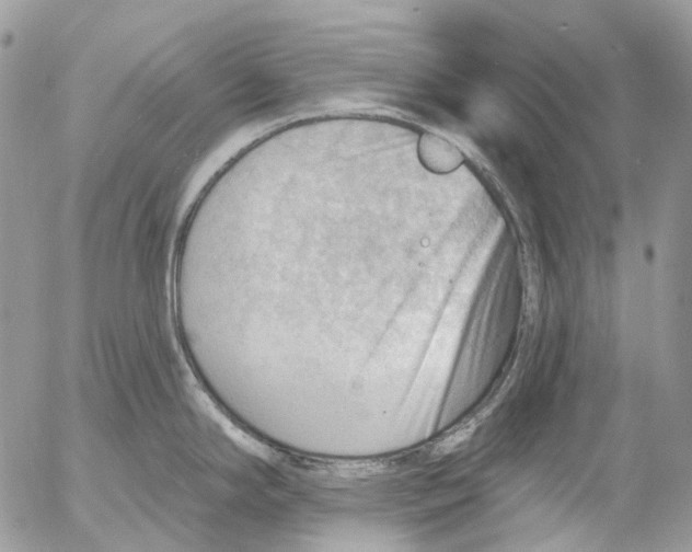 X0000053081294200508081236