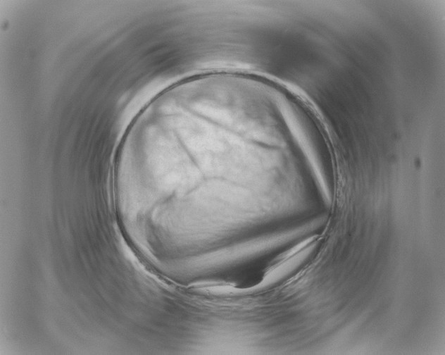 X0000053081295200508081236