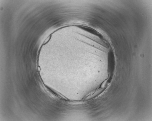 X0000053081296200508081236