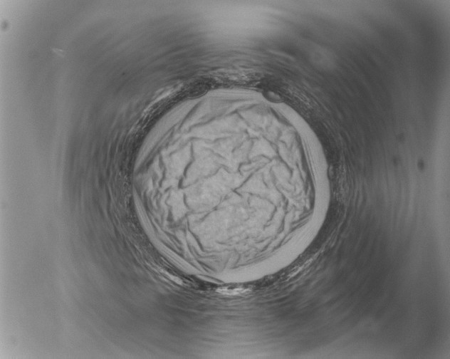 X0000053081297200508081235