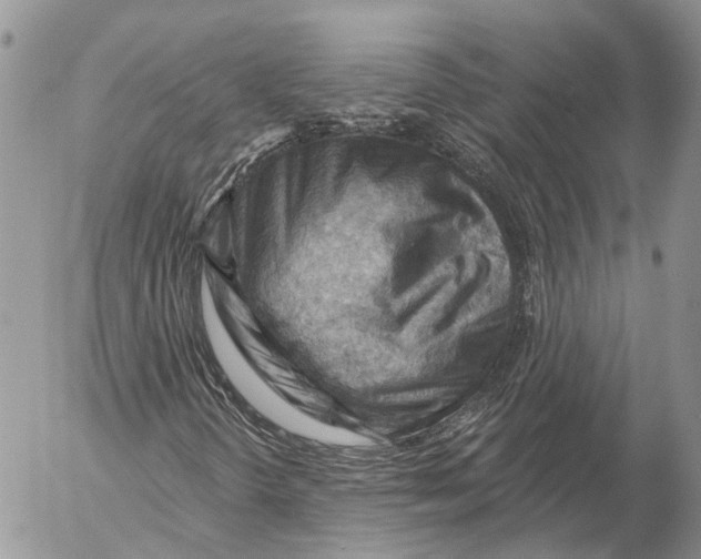 X0000053081298200508081235