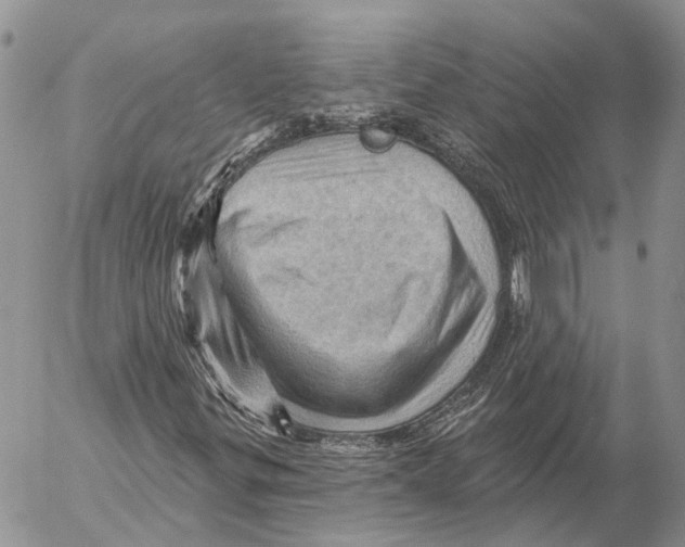 X0000053081299200508081235