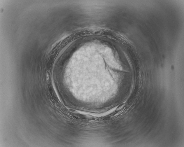 X0000053081302200508081235