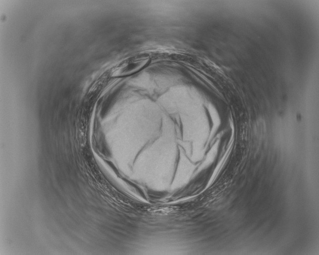 X0000053081303200508081235