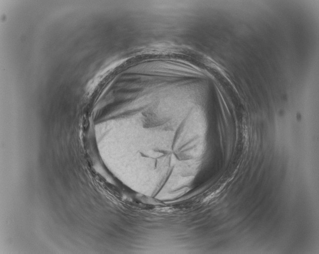 X0000053081304200508081235