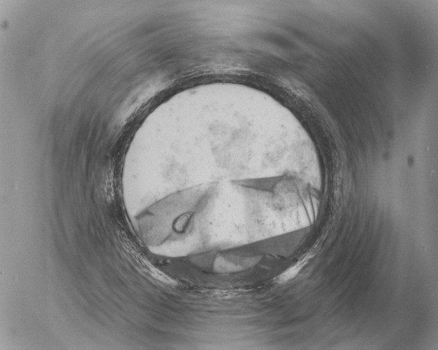 X0000053081306200508081235