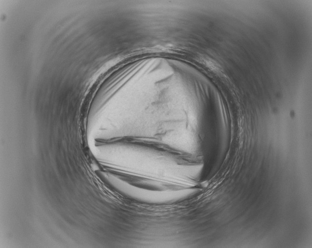 X0000053081308200508081235