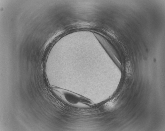 X0000053081309200508081235