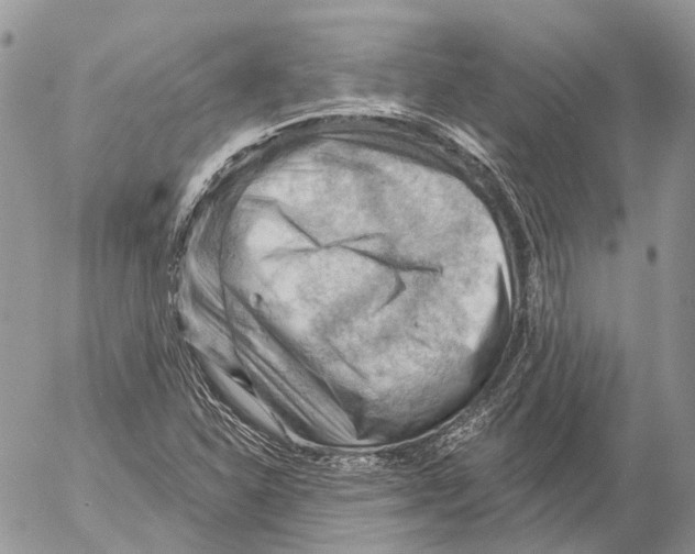 X0000053081310200508081235