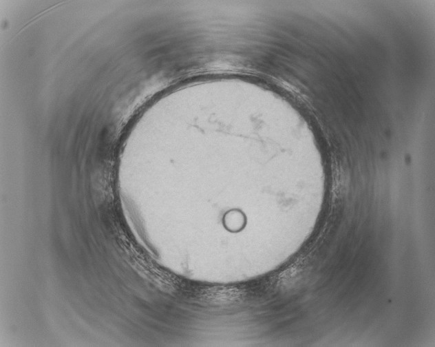 X0000053081314200508081235