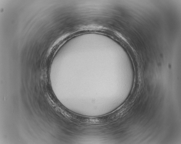 X0000053081315200508081235