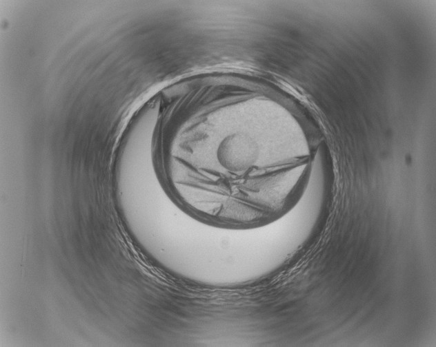 X0000053081316200508081235