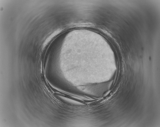 X0000053081317200508081235