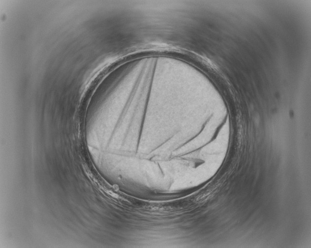 X0000053081318200508081235