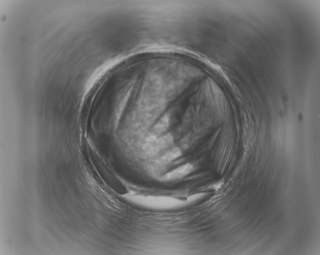 X0000053081319200508081235