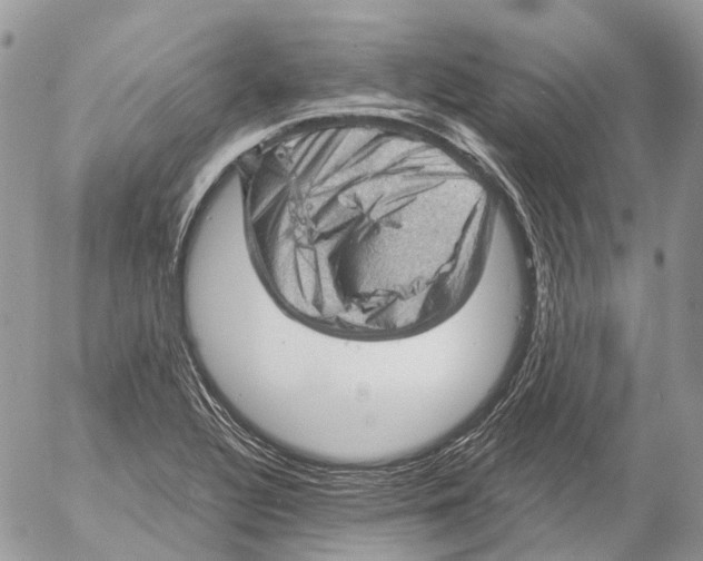 X0000053081320200508081235