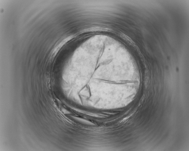 X0000053081321200508081235