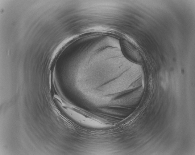 X0000053081323200508081235