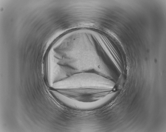 X0000053081324200508081235