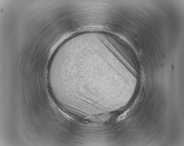 X0000053081325200508081235