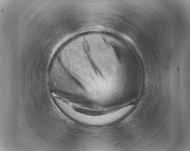 X0000053081326200508081235