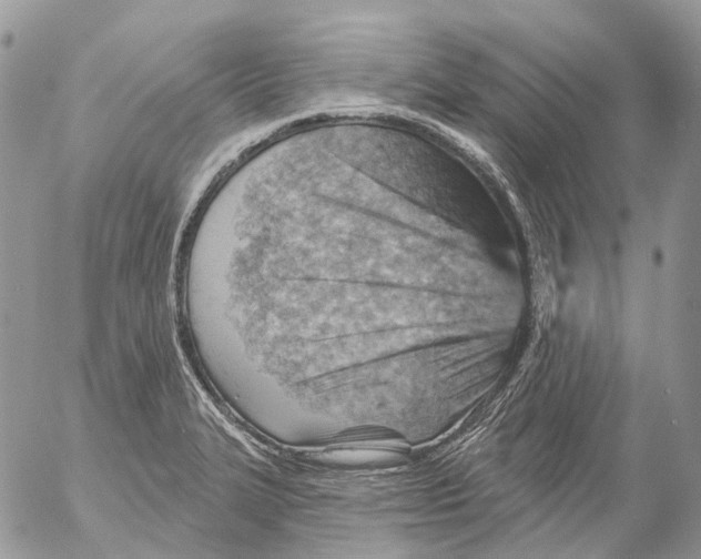 X0000053081327200508081235