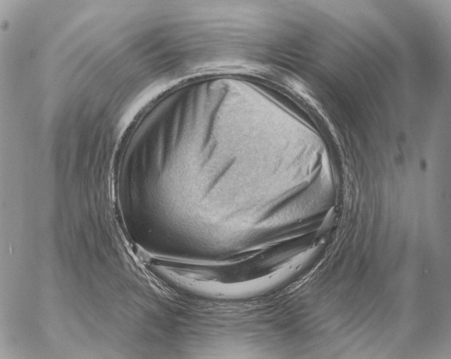 X0000053081328200508081235