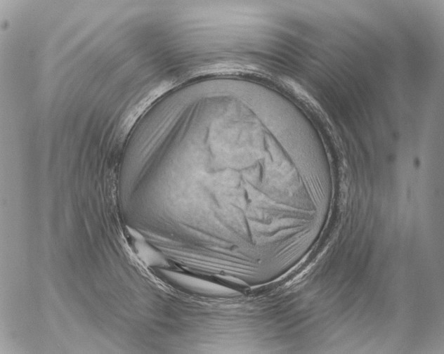 X0000053081329200508081235