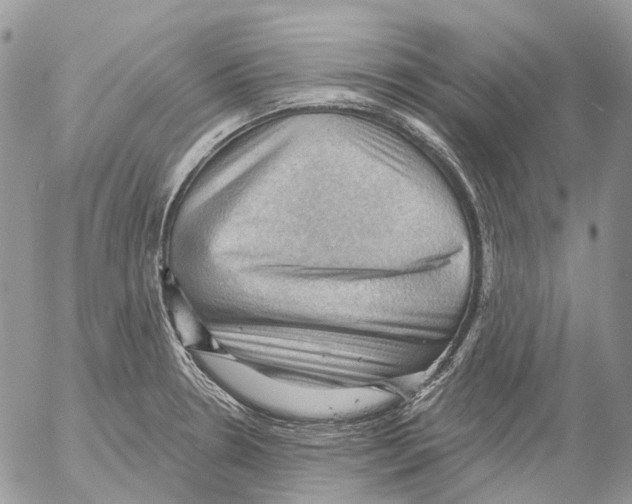 X0000053081330200508081235