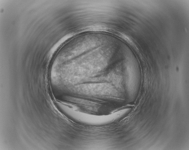 X0000053081331200508081235