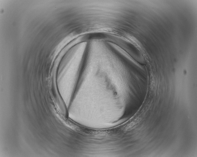 X0000053081332200508081235